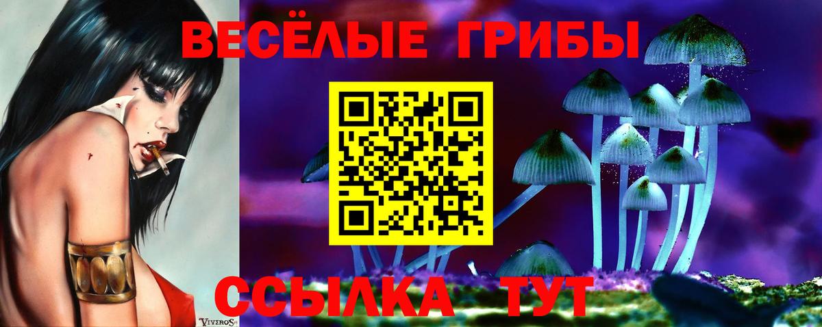 Галлюциногенные грибы мицелий Славянск-на-Кубани